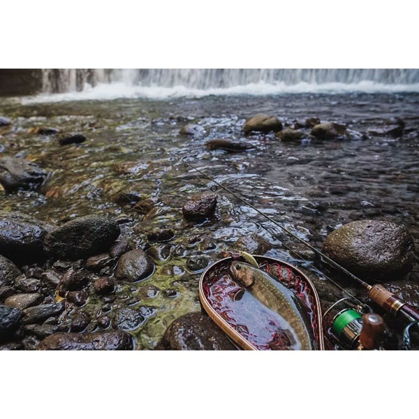 CARDIFF リフレイン 50HS